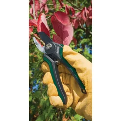 Anvil Pattern Secateurs, 175mm