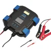 12A 6/12V Smart Battery Charger with Light