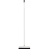 Broom with Handle