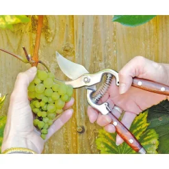 Bypass Pattern Secateurs with Wooden Handles, 210mm