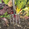 Carbon Steel Border Fork