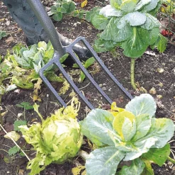 Carbon Steel Garden Fork
