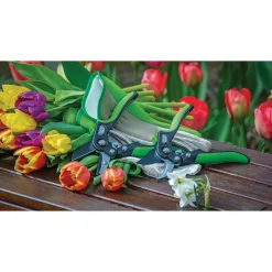 Draper Expert Anvil Pattern Secateurs, 200mm