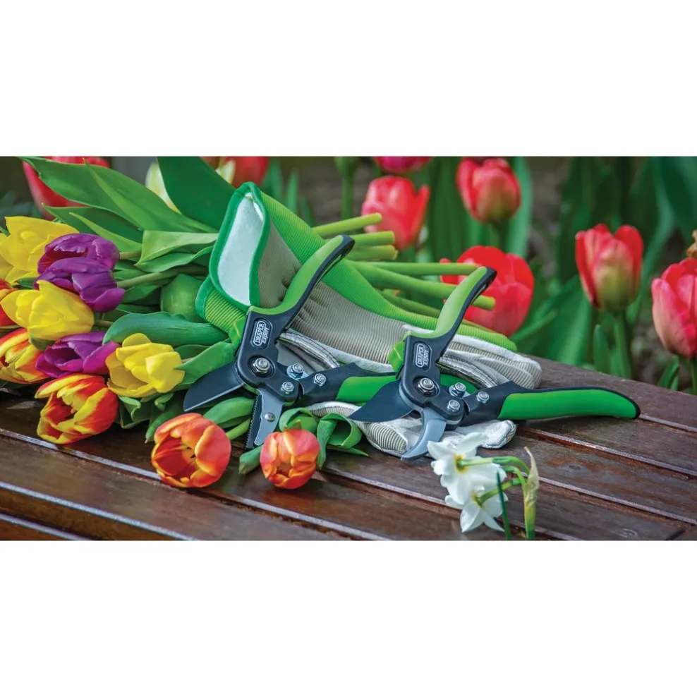 Draper Expert Anvil Pattern Secateurs, 200mm