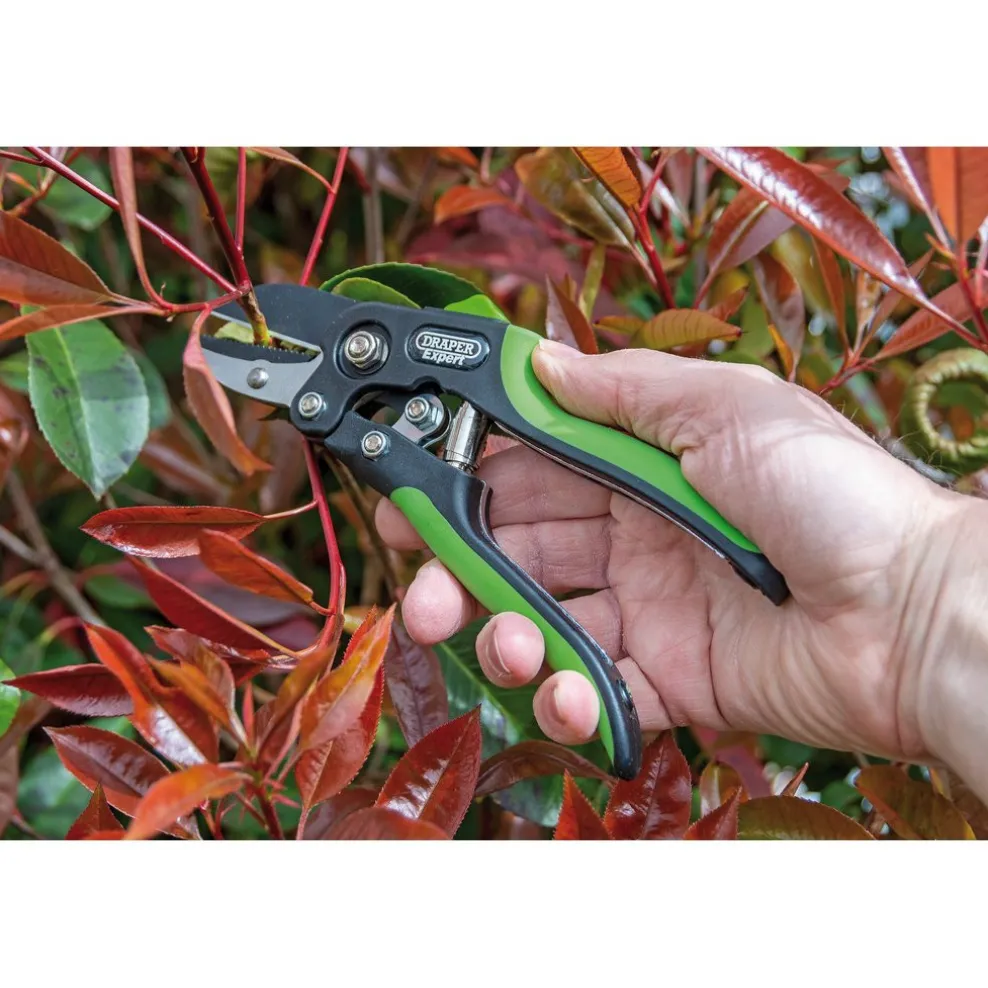 Draper Expert Anvil Pattern Secateurs, 200mm