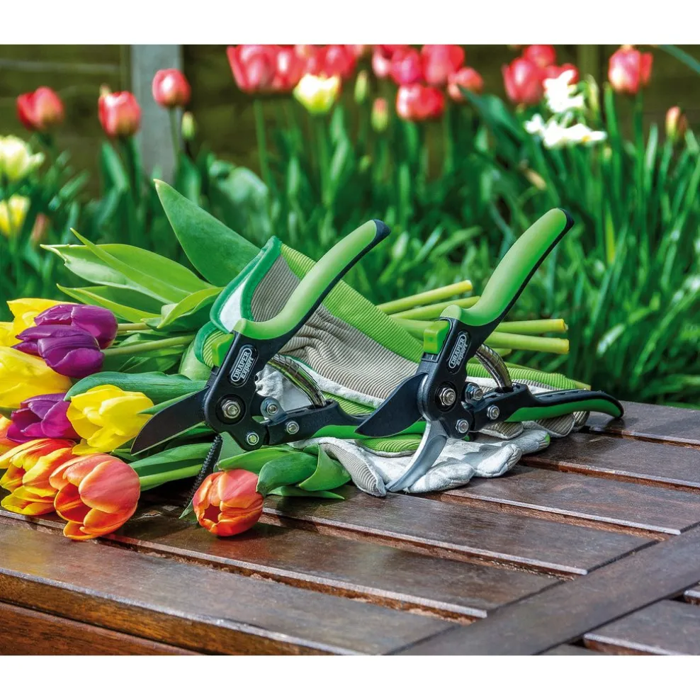 Draper Expert Anvil Pattern Secateurs, 200mm