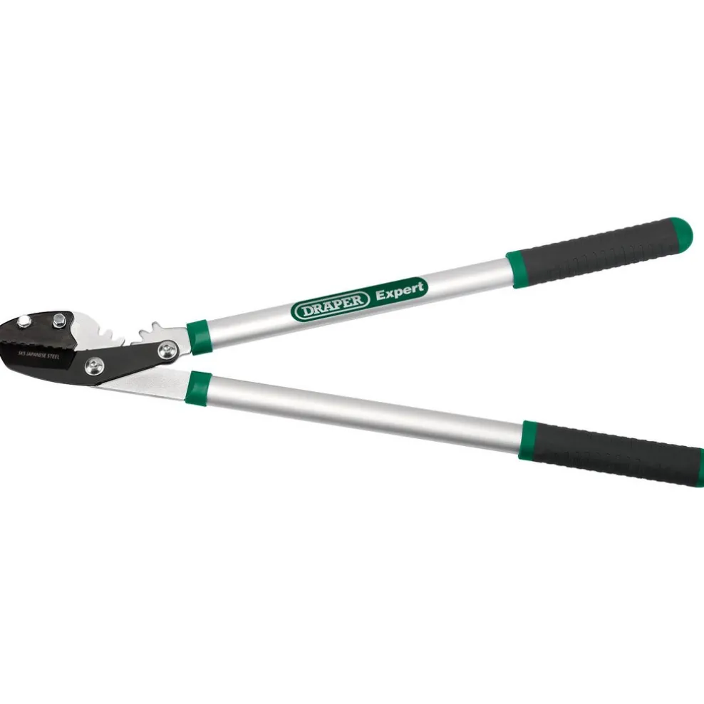 Draper Expert Gear Action Soft Grip Anvil Lopper with Aluminium Handles, 685mm