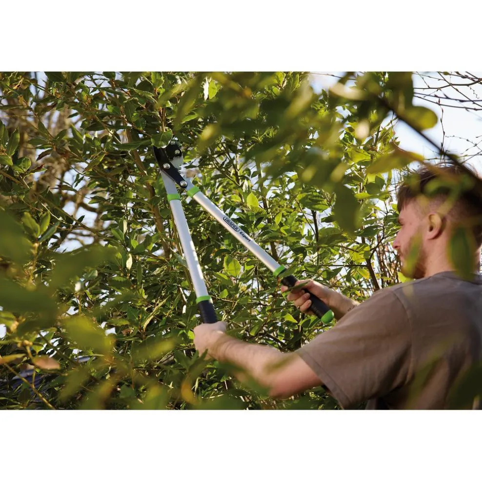 Draper Expert Gear Action Soft Grip Anvil Lopper with Aluminium Handles, 685mm