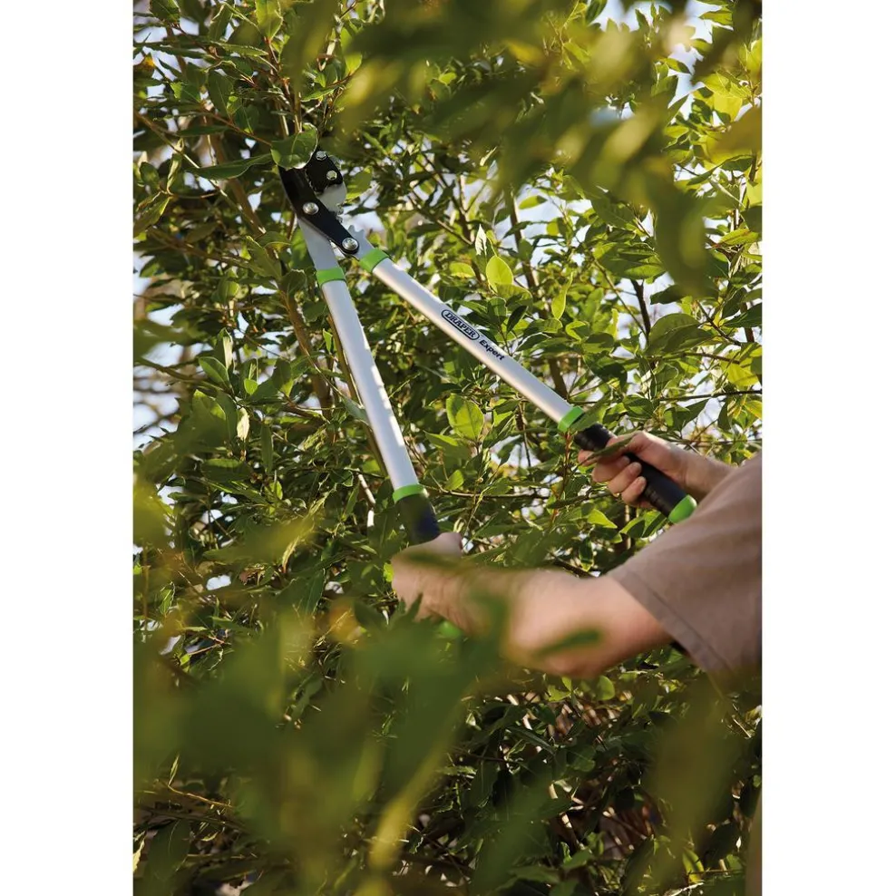 Draper Expert Gear Action Soft Grip Anvil Lopper with Aluminium Handles, 685mm