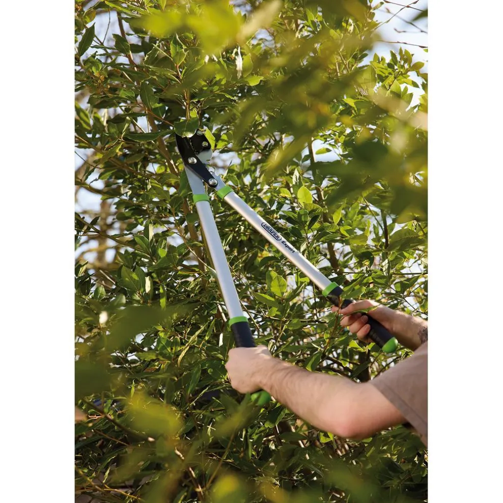 Draper Expert Gear Action Soft Grip Anvil Lopper with Aluminium Handles, 685mm