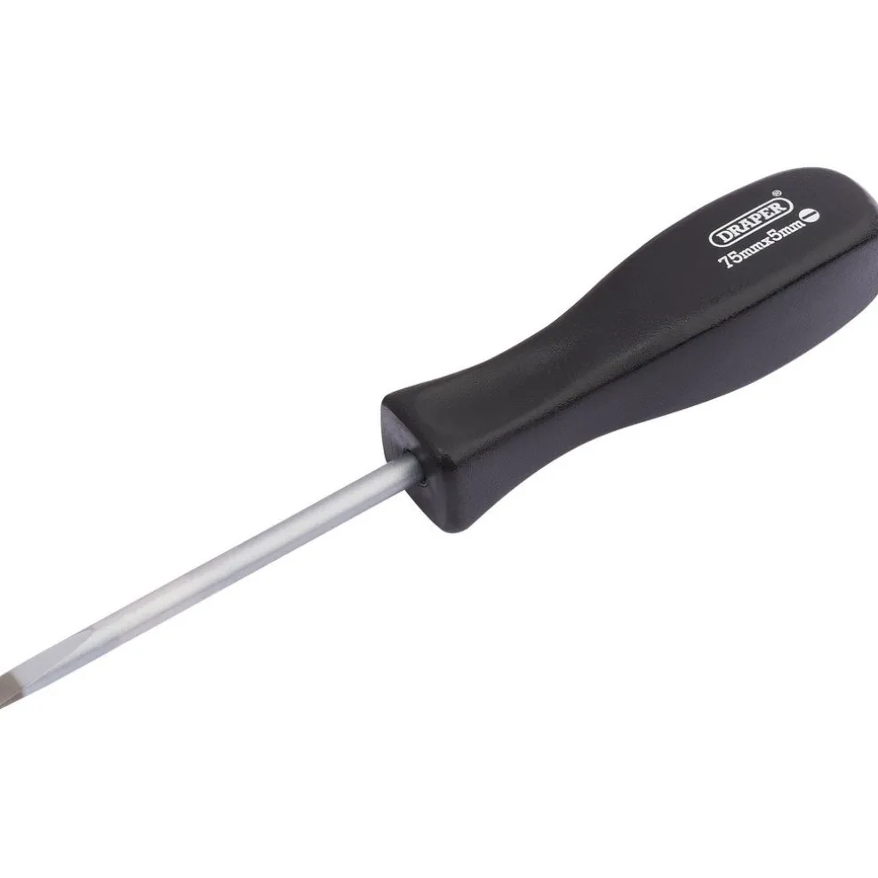 Draper Expert Plain Slot Mechanics Screwdriver, 5 x 75mm