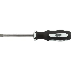 Draper Expert 'Pound Thru' Cross Slot Soft Grip Screwdriver, No.2 x 100mm