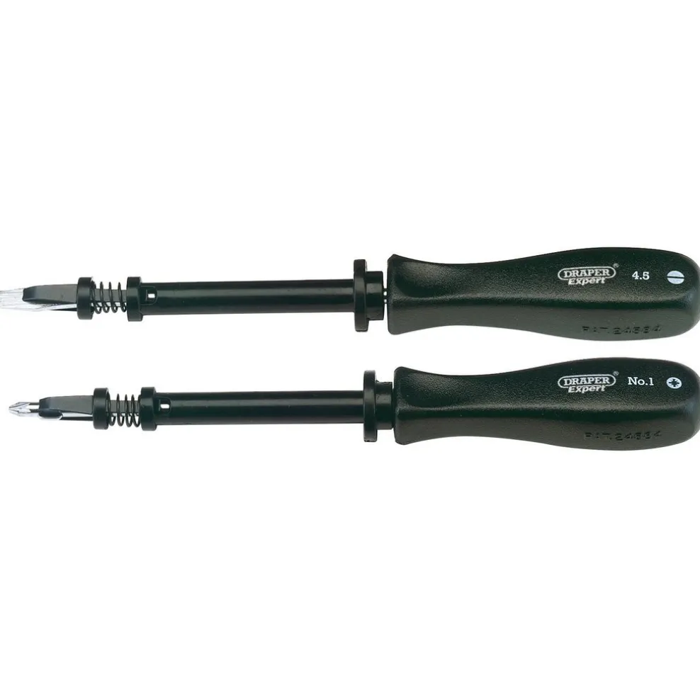 Draper Expert Screw Holding Mechanics Screwdriver Set (2 Piece)