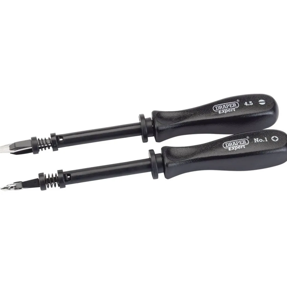 Draper Expert Screw Holding Mechanics Screwdriver Set (2 Piece)