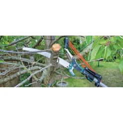 Draper Expert Tree Pruner with Telescopic Handle, 32mm Diameter
