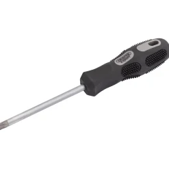 Draper Expert TX-STAR® Security Driver, T40T x 100mm