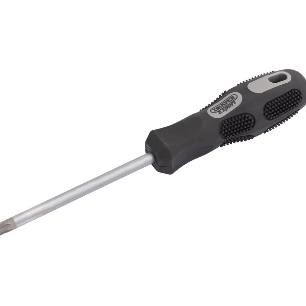 Draper Expert TX-STAR® Security Driver, T40T x 100mm