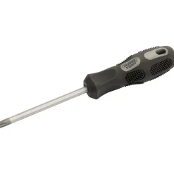 Draper Expert TX-STAR® Security Driver, T40T x 100mm