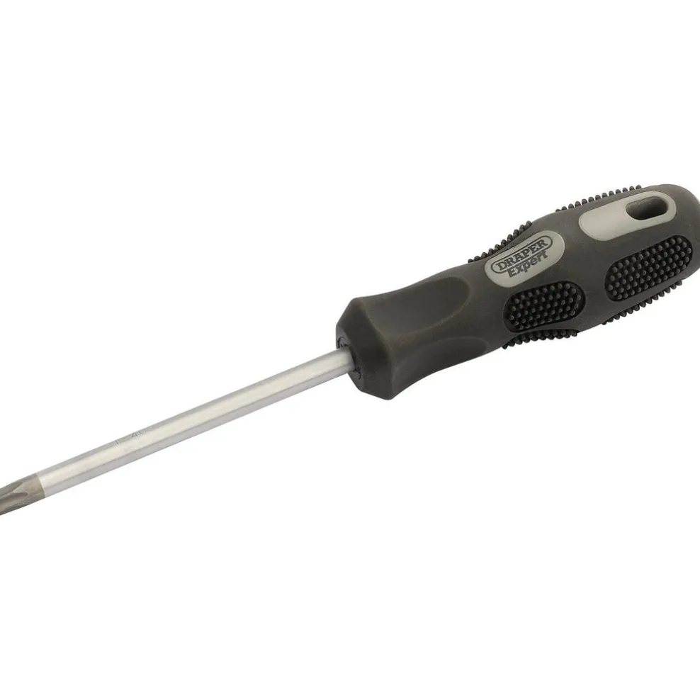 Draper Expert TX-STAR® Security Driver, T40T x 100mm