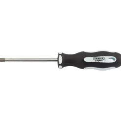 Draper Expert TX-STAR® Security Soft Grip Screwdriver, T40T x 100mm