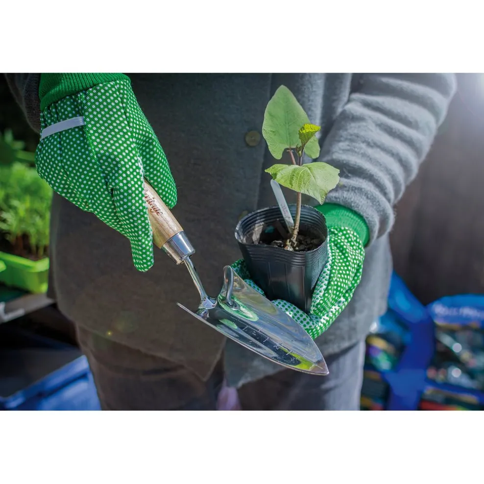 Draper Heritage Stainless Steel Transplanting Trowel with Ash Handle