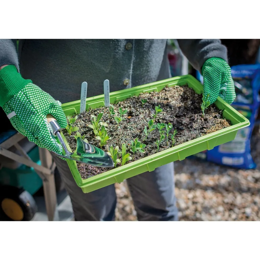 Draper Heritage Stainless Steel Transplanting Trowel with Ash Handle