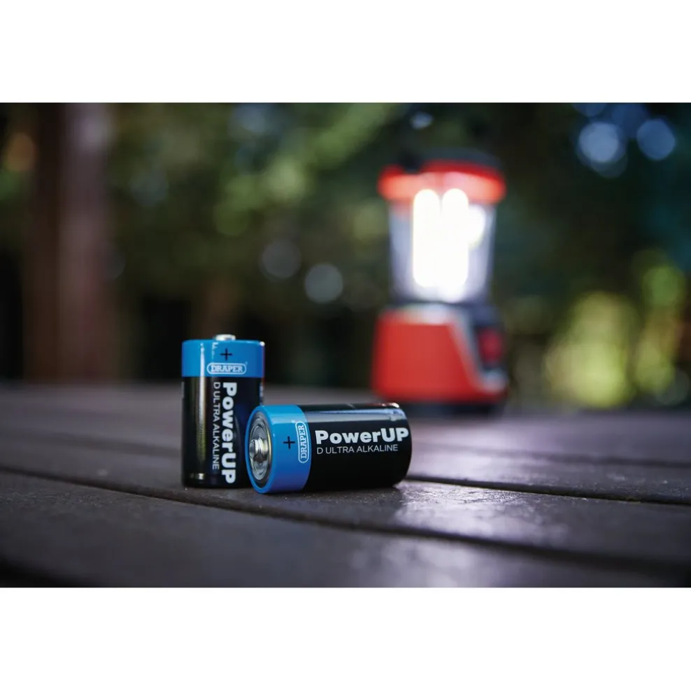 Draper PowerUP Ultra Alkaline D Batteries (Pack of 4)