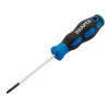 Draper TX-STAR® Soft Grip Security Screwdriver, T10