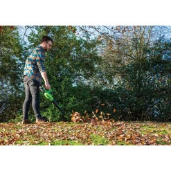 D20 20V Leaf Blower, 1 x 2.0Ah Battery, 1 x Charger