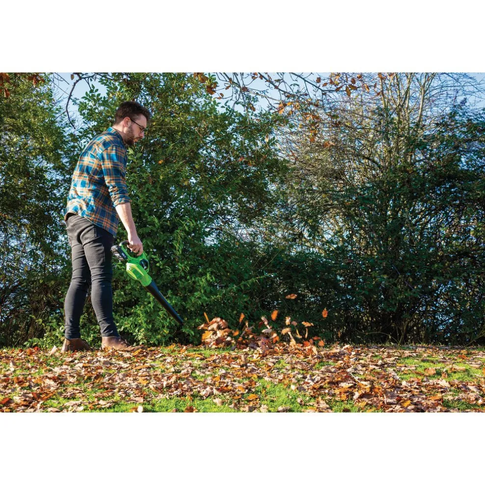 D20 20V Leaf Blower, 1 x 2.0Ah Battery, 1 x Charger