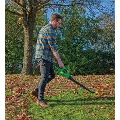 D20 20V Leaf Blower, 1 x 2.0Ah Battery, 1 x Charger