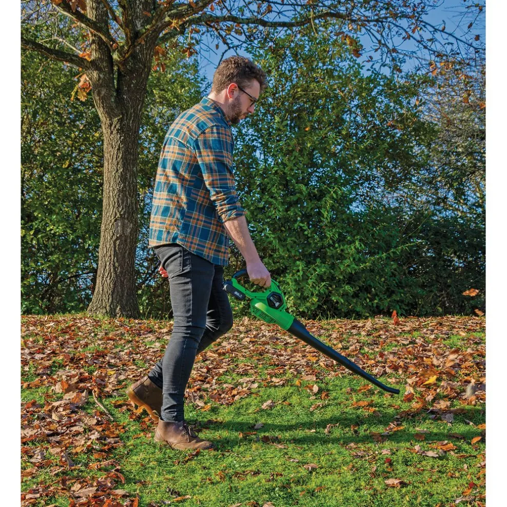 D20 20V Leaf Blower, 1 x 2.0Ah Battery, 1 x Charger