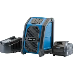 D20 20V Wireless Speaker with 1 x 3.0Ah Battery and Charger
