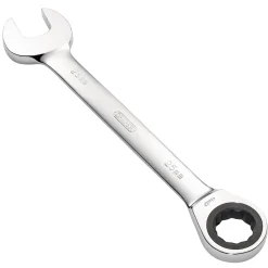 Metric Ratcheting Combination Spanner, 25mm