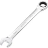 Metric Ratcheting Combination Spanner, 19mm