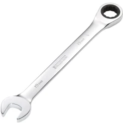 Metric Ratcheting Combination Spanner, 19mm