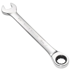 Metric Ratcheting Combination Spanner, 19mm
