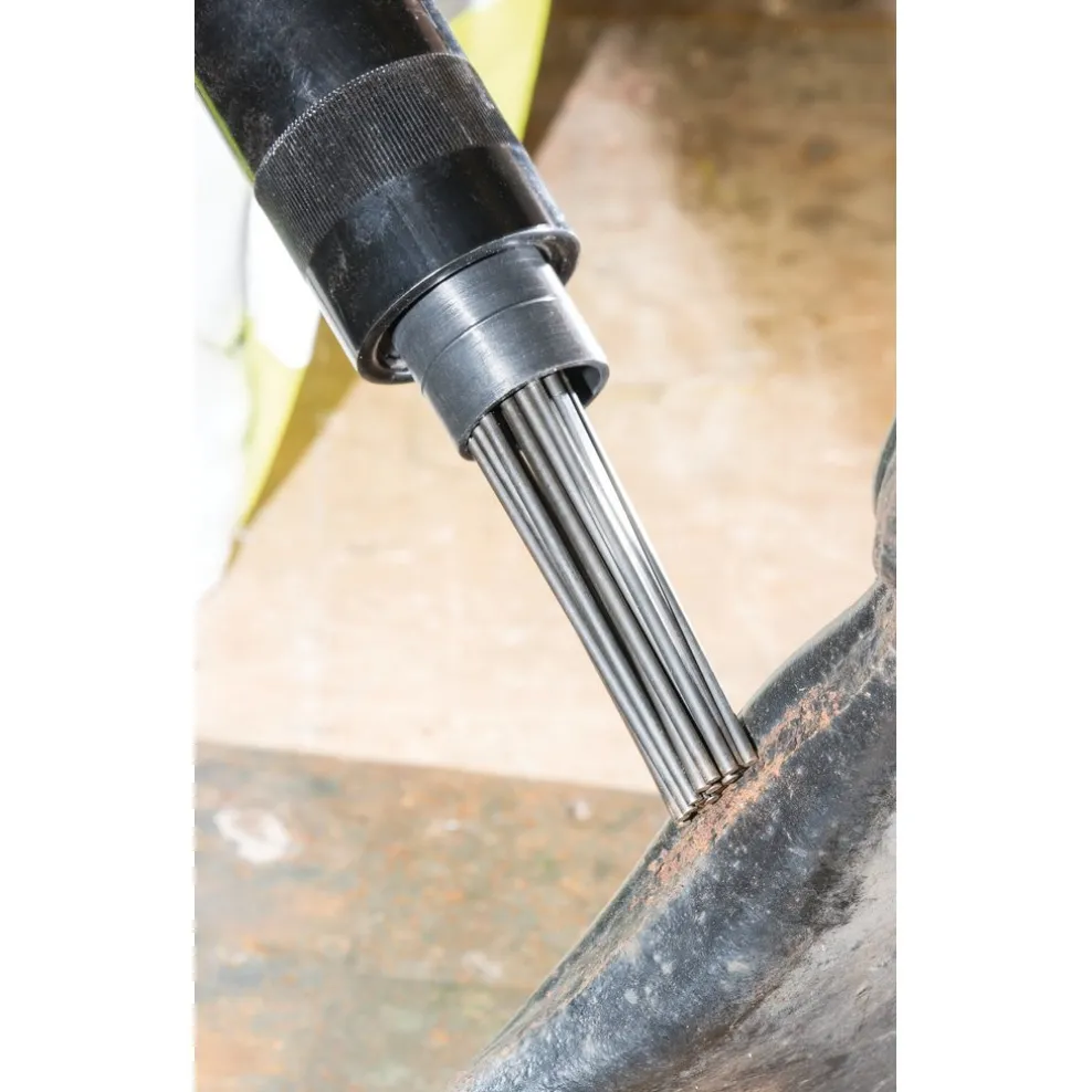 Needle Scaler