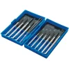 Precision Screwdriver Set (11 Piece)