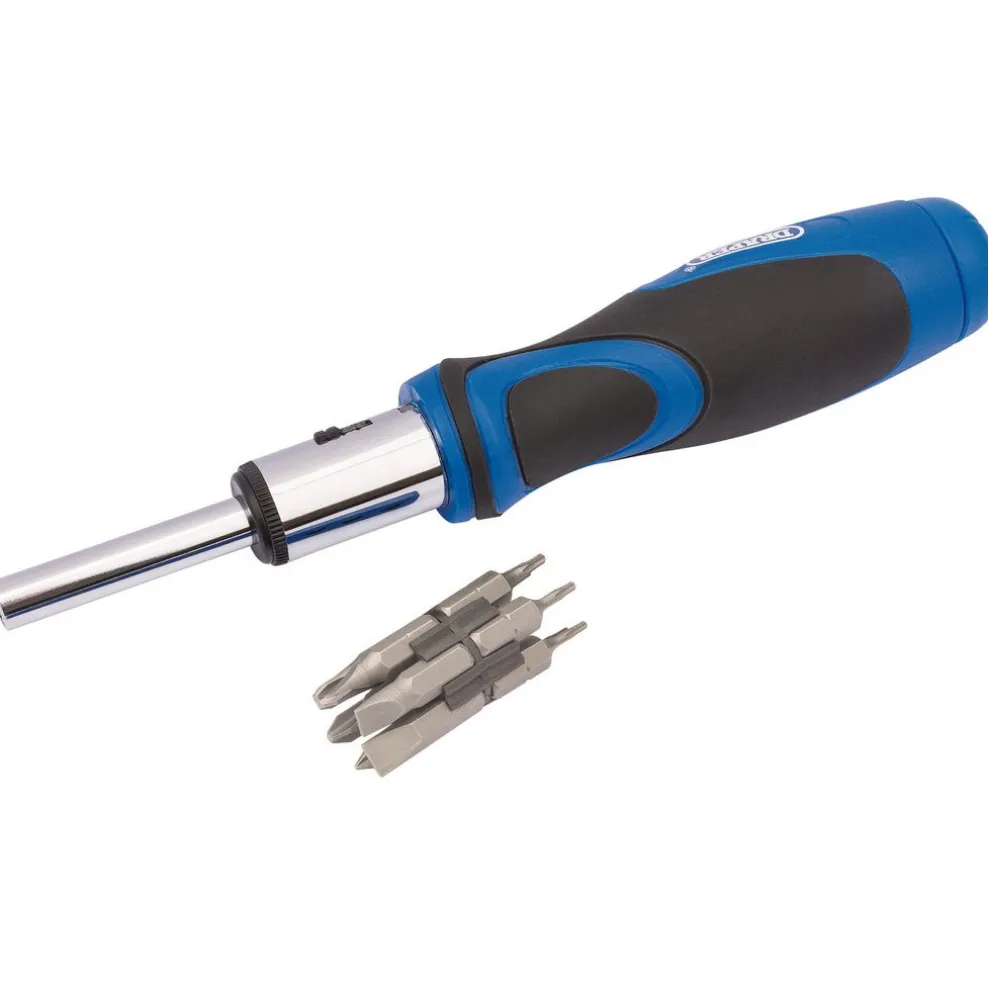 Ratchet Screwdriver and Bit Set (13 Piece)