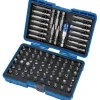 Screwdriver and Bit Holder Set (80 Piece)