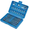 Screwdriver Bit Set (100 Piece)