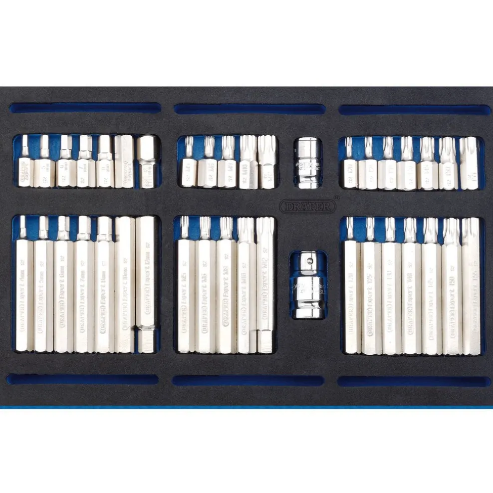 Screwdriver Insert Bit Set in 1/4 Drawer EVA Insert Tray (40 Piece)
