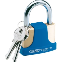 Solid Brass Padlock and 2 Keys with Hardened Steel Shackle and Bumper, 52mm