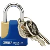 Solid Brass Padlock and 2 Keys with Hardened Steel Shackle and Bumper, 32mm