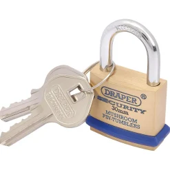 Solid Brass Padlock and 2 Keys with Mushroom Pin Tumblers Hardened Steel Shackle and Bumper, 30mm