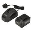 18V Brushless Mini Pruner Saw, 1 x 4.0Ah Battery, 1 x Charger